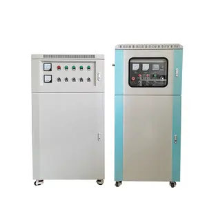 300g à 1kg système de purification d'eau de générateur d'ozone pour générateur d'eau d'ozone lavatrice