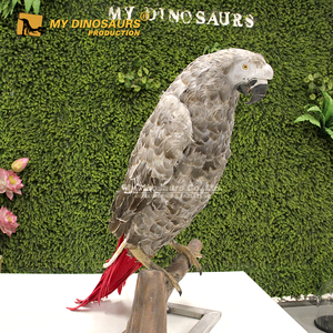 Papagaíos Grises Africanos Animatrónicos <span class=keywords><strong>de</strong></span> Tamaño Real para Parques <span class=keywords><strong>de</strong></span> Vida Silvestre, Centros Comerciales y Áreas Públicas, Uso Interior/Exterior - Product Image 1