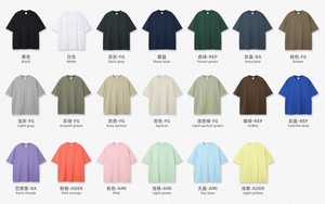Camiseta de algodón puro de 20 colores con hombros caídos y manga corta, de peso personalizado, talla grande y baja tasa de encogimiento - Product Image 2