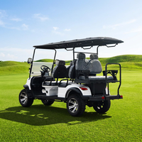 Voiturette de golf électrique Leibin haute performance 6 places, en acier, 48V 3.5KW, surélevée, homologuée pour la route, batterie lithium, autonomie 90 km