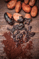 Machine de traitement du cacao garantie un an Machine d'épluchage et de concassage de fèves de cacao