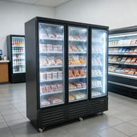 Congélateur vitrine avec logo personnalisé, 3 niveaux de vitres anti-buée, acier épaissi, refroidissement par air comprimé importé