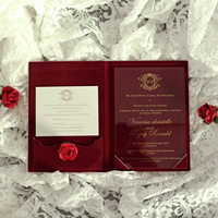 Invitation de mariage en acrylique transparent LOGO à couverture rigide en velours bordeaux de luxe avec RSVP et enveloppe