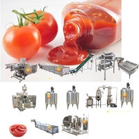 Nieuwe Staat Tomatenketchup Productielijn Fruitpasta Maken Machine En Voedsel Pasteurisator Voor Tomatensaus