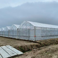 Grande serre agricole hydroponique multi-chapelles en acier galvanisé à chaud, projet clé en main pour la culture de films minces