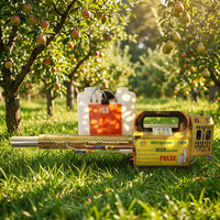 Machine de désinfection thermique en laiton écologique - Pulvérisateur portable