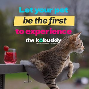 विशाल बिल्ली हैममॉक डेस्क बिस्तर ठोस प्लग के साथ ठोस प्लश और हटाने योग्य कवर के साथ सर्दियों की नींद और गेमिंग डेस्क के लिए 45 पाउंड क्षमता - Product Image 3