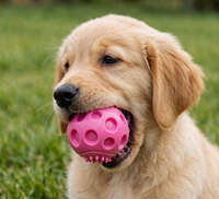 Jouets à mâcher durables en TPR, classiques, originaux, mignons, en forme de dessin animé pour chiens - Balles pour la dentition et l'entraînement, tailles petites et moyennes