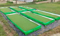Bâche agricole en polyéthylène pour culture d'Azolla et feuilles de pépinière