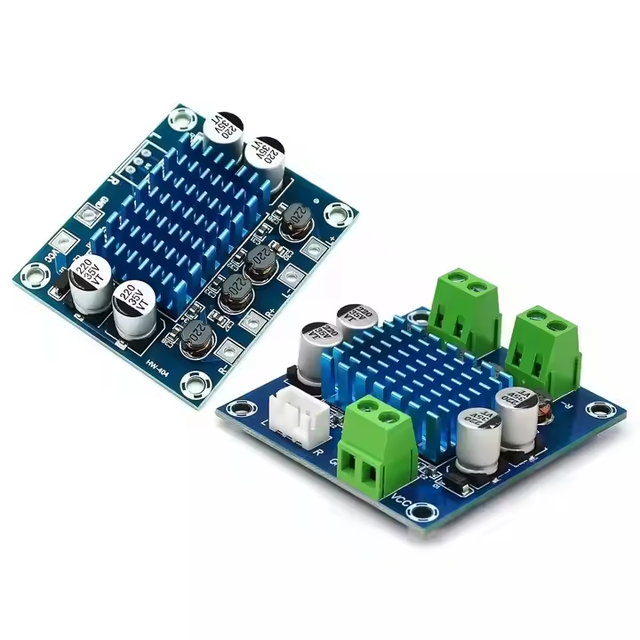 XH-A232 60W Class D Digital Amplifier Board, 12-24V HD Audio Module with DC Filter & Overload Protection
