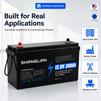 Batterie au lithium fer phosphate 12,8 V 300 Ah pour système solaire hors réseau, batterie à décharge profonde, remplace les batteries au plomb-acide, livraison rapide locale UE/US.