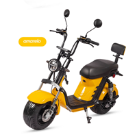 Vente en gros d'usine, moto électrique adulte personnalisée CityCoco 1000w, puissante, scooter électrique X12