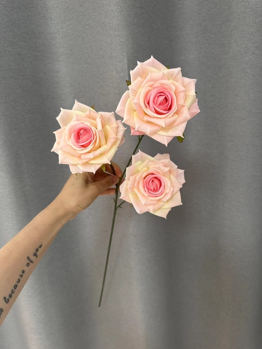 Pourpre