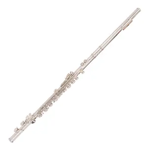 Оптовая продажа, инструмент для флейты, медный C-тон, серебряная модель с 16 отверстиями, с закрытым отверстием, белое никелированное серебро, OEM P69lh, 1/16 ножка