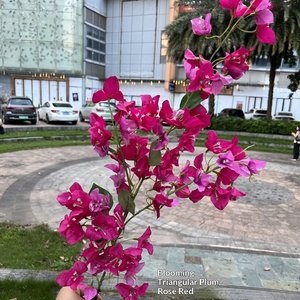 ดอกไม้ประดิษฐ์จาก Bougainvillea สำหรับงานแต่งงานของตกแต่งบ้าน - Product Image 3