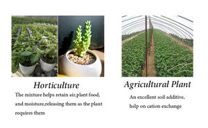 Sable de <span class=keywords><strong>vermiculite</strong></span> pour la plantation, mélange pour la culture de fleurs et de légumes, spécial pour la culture de semis et l'éclosion des tortues - Product Image 5