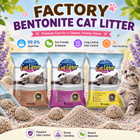 Litière pour chat en bentonite de haute qualité, écologique, argile naturelle, super absorbante, sans poussière, agglomération rapide, faible traçage, échantillon gratuit, direct usine