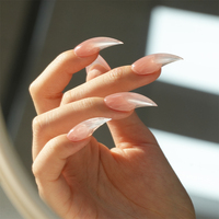 Offre Spéciale – Faux Ongles Réutilisables Style Patte de Chat Dragon Aigle, Effet Œil de Chat Blanc, à Coller