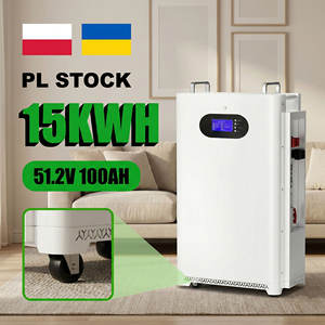 Batería de Almacenamiento de Energía Doméstica LiFePO4 de 10 kWh y 51.2 V, Montada en Pared, con Pantalla LCD, BMS Integrado, CAN, RS485, RS232, OEM, Marca Privada - Product Image 1