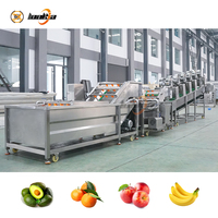 Industriële fruit- en groentewasmachines, ui-wasmachine zonder schade, drooglijn voor verse mango's