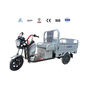 China New Model Cheap Cheap Electric Tricycle Folding 600w Motor 3 Wheels Electric Bicycle Motorcycle