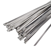 Attache-câble métallique en acier inoxydable SS304 4,6x100mm avec verrouillage à bille, vente en gros d'usine