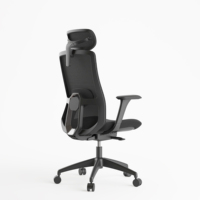 Chaise de bureau exécutive SITSTAR en maille, pivotante à 360°, avec support lombaire, base à cinq branches, certifiée BIFMA, pour réunions, bureaux commerciaux et lieux de travail design.