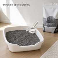 Litière pour chat familiale sûre, à faible diffusion, avec charbon actif et sable de bentonite pour une fraîcheur constante et une absorption continue des odeurs