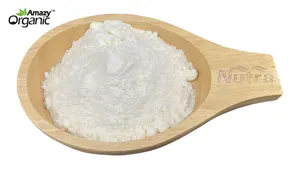 Fornecimento de fábrica de alta qualidade creme de coco orgânico em pó produto comestível 100% suco de creme de coco natural em pó