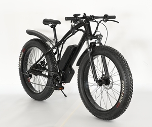 26 Inch Giá Rẻ Hot Bán 4.0 Chất Béo Lốp Xe Đạp Điện Tuyết Xe Đạp Điện 48V 350W Pin Lithium - Product Image 1