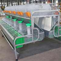 Cages à lapins de qualité supérieure, style industriel européen, cages à lapins commerciales européennes