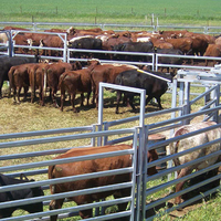Panneau de clôture pour bétail de 8 pieds de haut, robuste, en métal galvanisé, pour la protection des limites des ranchs