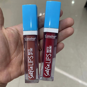 <span class=keywords><strong>Colorina</strong></span> brillo de labios tinte precios baratos venta al por mayor efecto mate de larga duración tinte de labios personalizado etiqueta privada - Product Image 1
