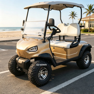 Voiturette de golf électrique 2 places la plus vendue, homologuée CE, 4 roues, batterie lithium, pour le transport en club et en communauté - Product Image 1