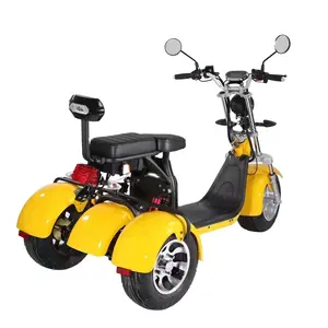Hot Sell Electric Tricycle In Electric Scooters 3 Wheel EEC Electric Tricycles 2000W Double Battery Citycoco Adults