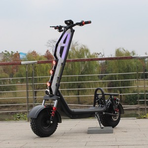 Scooter Eléctrico de Dos Ruedas para Adultos de Alta Calidad, Modelo D3-K3, Aluminio, Motor sin Escobillas de 800W, Aplicación Digital, Disponible en Almacén Alemán - Product Image 3