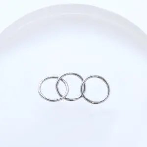 Xingfu Eternal ASTM F136 Titanium Hinged Segment Ring with New Fitting Body Jewelry Piercings