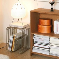 Table basse simple en acier inoxydable pour canapé, avec rangement pour livres et magazines, décoration d'appartement, meubles de restaurant