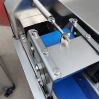 220V Huishoudelijke groentesnijmachine Automatische aardappel- en selderijsnijder met nieuwe motor en tandwiel voor het snijden van fruit