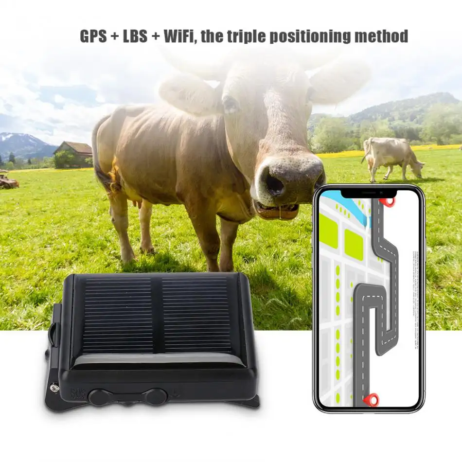 गाय के लिए RF-V26 पालतू जीपीएस ट्रैकर डॉग हार्स मुसीबत का इशारा अलार्म भू-बाड़ ट्रैकिंग डिवाइस जीपीएस लोकेटर रीयलटाइम धूप संचालित जीपीएस ट्रैकर