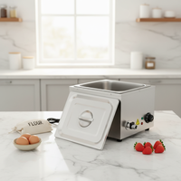 Bain-marie électrique professionnel en acier inoxydable pour comptoir, 1/2 GN x 15 cm, 600 W, 110 V/220 V