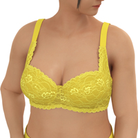 Hersteller Frauen Plus Size Kleidung Damen Custom Design Big Size Unterwäsche Spitze BH & Brief Sets