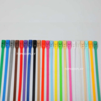 Attaches de câble en nylon de sangle de cordon de fermeture éclair de fil en plastique de réseau autobloquant de qualité
