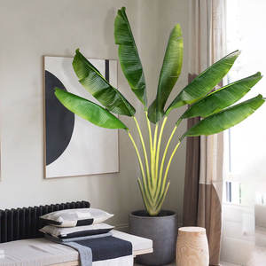 Plante artificielle Bonsaï, fausse plante tropicale, oiseau de paradis, plantes artificielles <span class=keywords><strong>d</strong></span>'intérieur, <span class=keywords><strong>forme</strong></span> de ventilateur, <span class=keywords><strong>palmier</strong></span> voyageur pour la <span class=keywords><strong>d</strong></span>écoration - Product Image 6