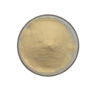 Offre Spéciale de haute qualité naringénine 98% extrait de naringénine poudre d'extrait de naringénine - Product Image 2