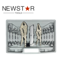 Newstar Professional – Coffret d'outils domestiques multifonctionnels en acier au carbone, 99 pièces, couleurs personnalisables, avec source d'alimentation manuelle, dans un étui rigide