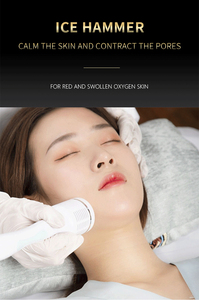 Professional 14 In 1 Beauty <b>Machine</b> Hydro Dermabrasion Skin Rejuvenation Device - Product Image 5