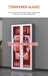 Thép hiện đại 2-cửa freestanding lắp ráp tủ hồ sơ cho căn hộ nhà văn phòng với công suất lớn và có thể khóa thiết kế - Product Image 5