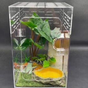 Transparentes Acryl Modernes Outdoor-Terrarium für Reptilien & Insekten Geräumiges Terrarium für Eidechsen, Skorpione, Mantis & <span class=keywords><strong>Vivarium</strong></span>-Landschaftsgestaltung - Product Image 3