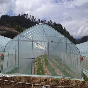 Mushrooms Low Price Tunnel Greenhouse Small Greenhouse Mushrooms Greenhouse Plastic Film